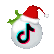 tiktokicon